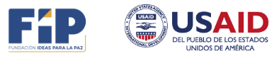 Logos FIP USAID